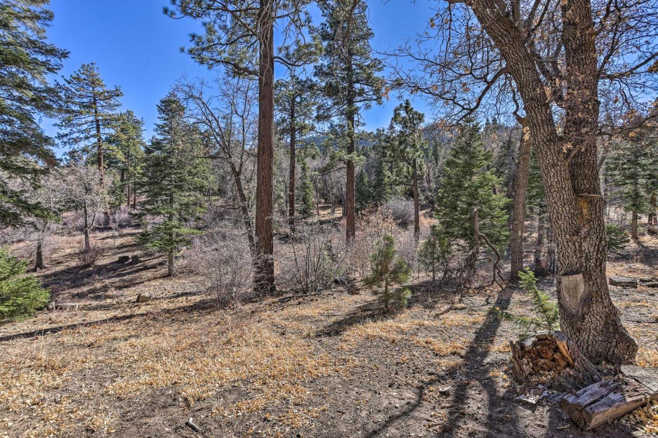 Chocolate Moose Cabin Short Walk To Slopes Villa Big Bear Lake Buitenkant foto